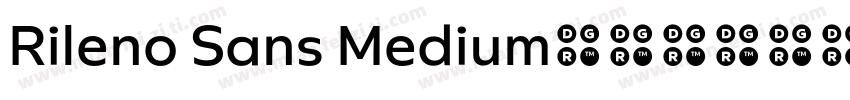 Rileno Sans Medium字体转换